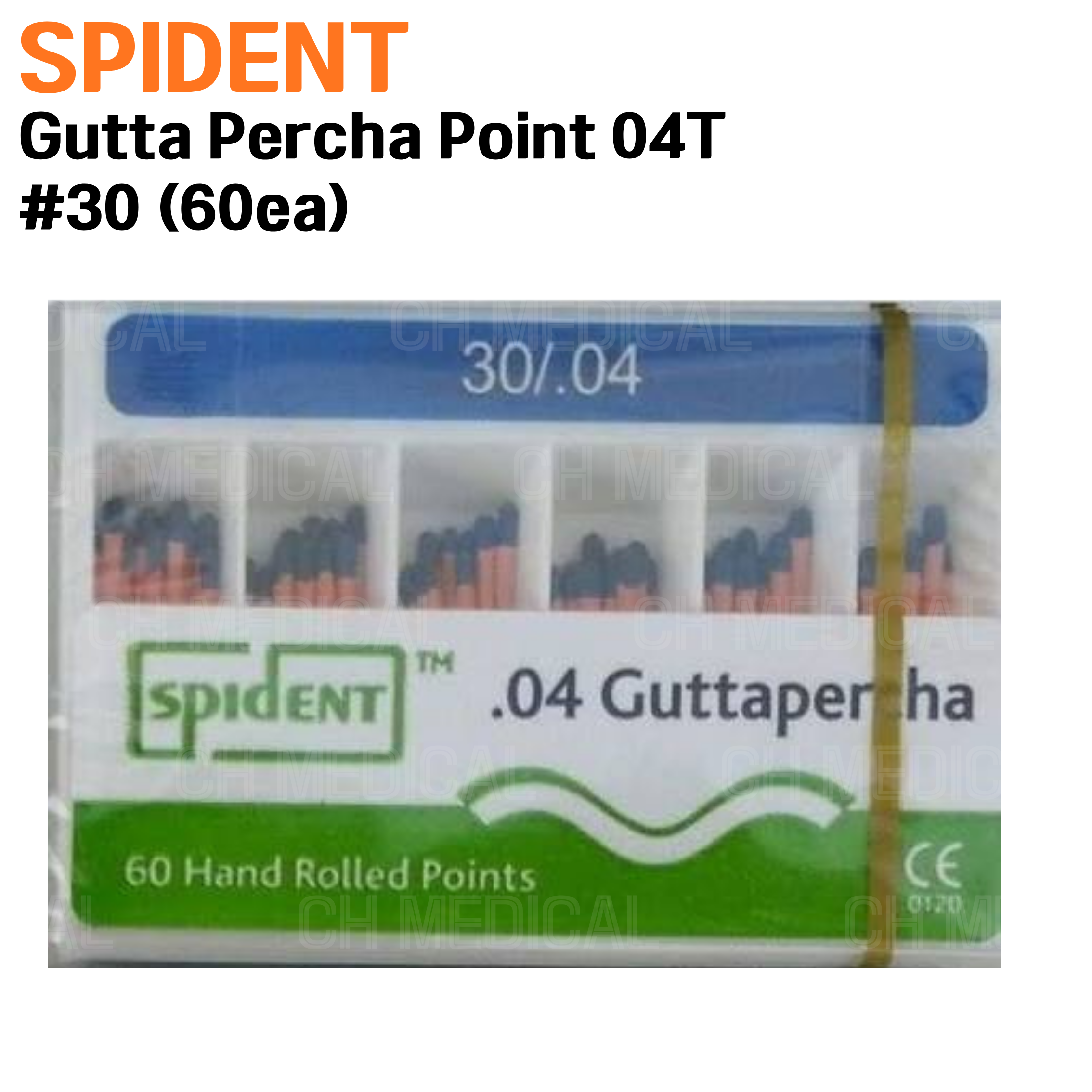 SPIDENT) Gutta Percha Point 04T #30 (60ea)